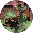 Patrick Morley Patrick Morley